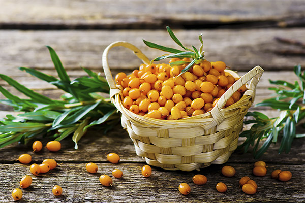 Useful properties of sea buckthorn