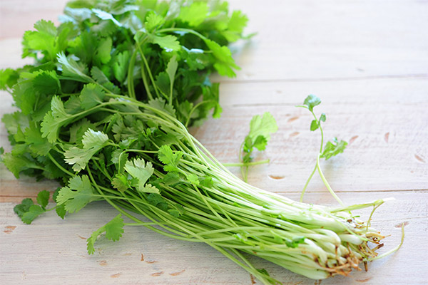 The benefits and harms of cilantro