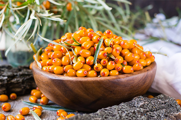Recipes of folk medicine based on sea buckthorn