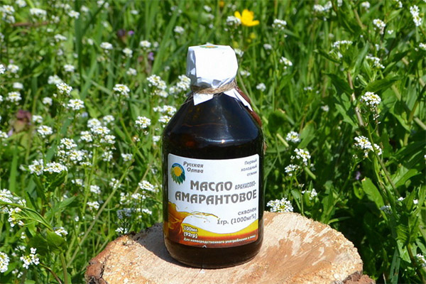 Amaranth Oil in Medicine