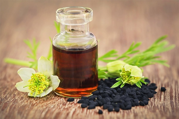 Black cumin oil in cosmetology