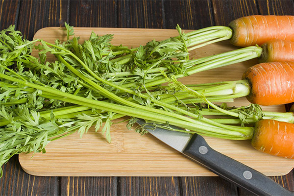 The benefits and harms of carrot tops