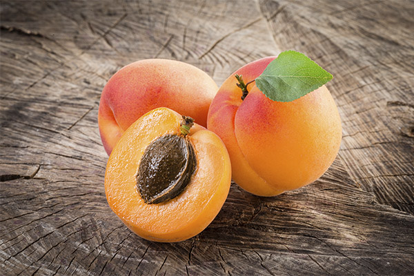 Apricots in cosmetology