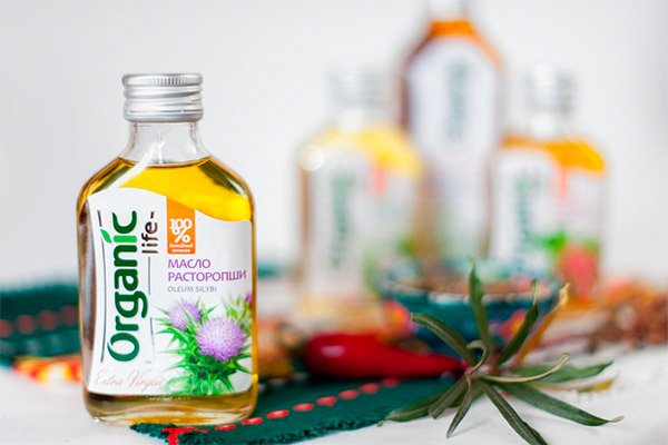 Culinary uses of oil thistle