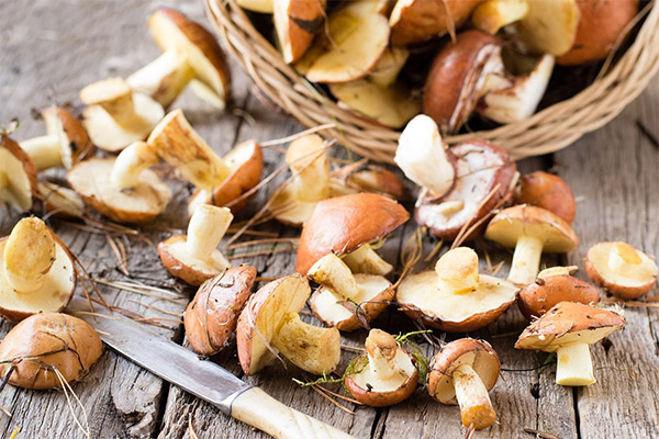 The benefits and harms of masliks