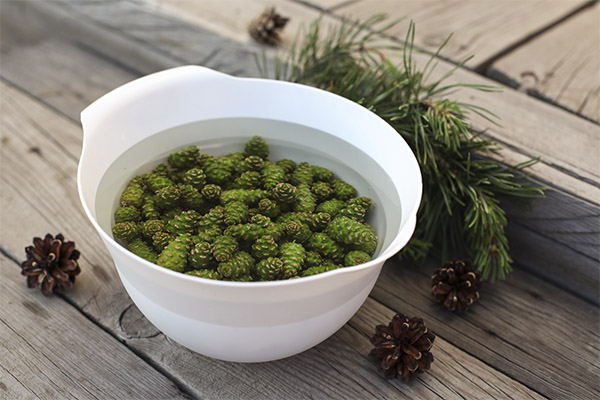 Kind of medicinal compositions with pine cones