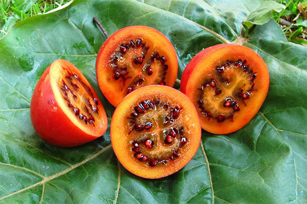 Useful properties of the tamarillo fruit