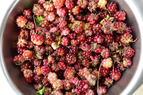 Useful properties of Duchess