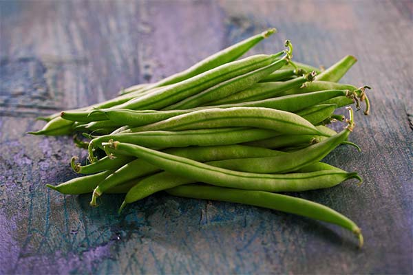 String beans when breastfeeding