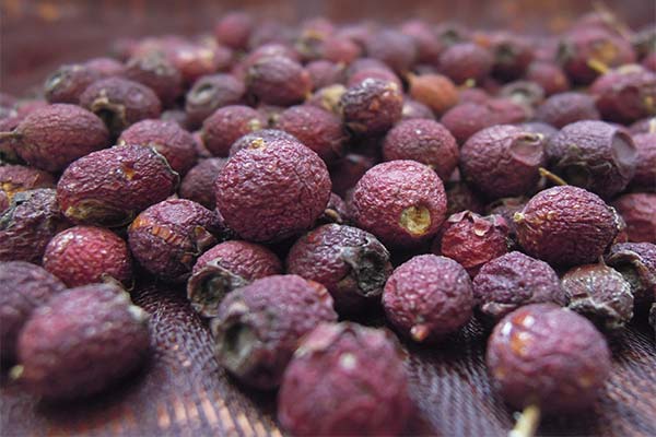 What is the usefulness of dried hawthorn