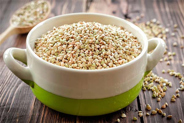 What is useful for green buckwheat