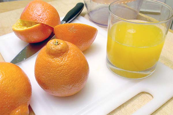 What can be cooked from Mineola