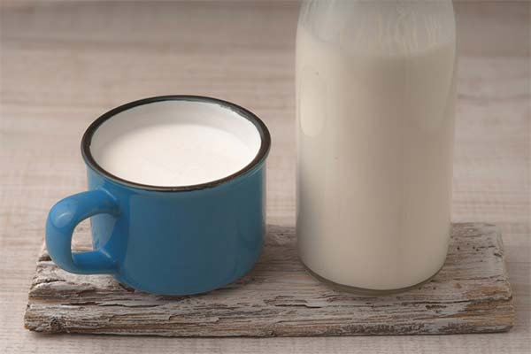 How kefir affects the human body