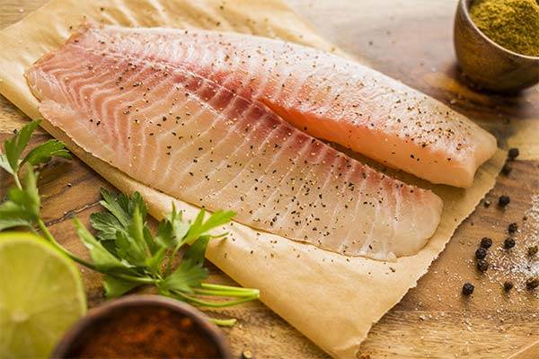 Benefits of tilapia meat