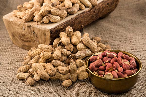 The benefits of peanuts during pregnancy