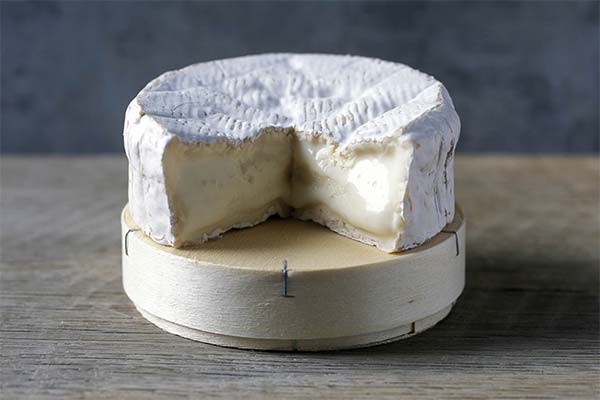 Camembert Cheese