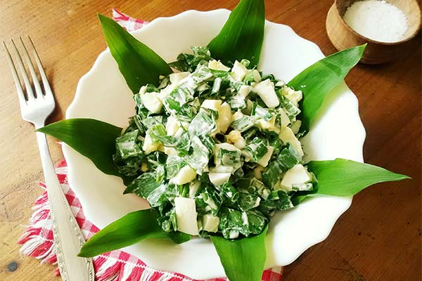 Salad with ramson and egg