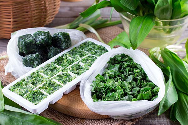 Can I Freeze Red Carrot