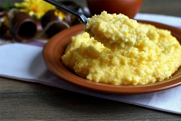 Els gossos poden donar farinetes de blat de moro