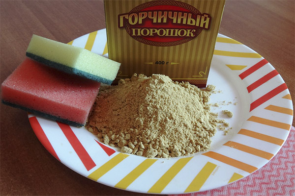 Slik bruker du sennep i hverdagen