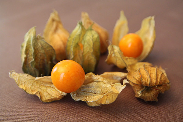 Com triar physalis per a la melmelada