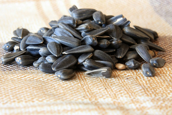 Er det mulig å gi solsikkefrø til dyr