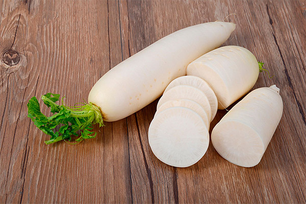 Daikon i medisin