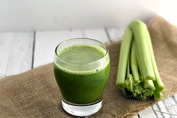 Hvordan drikke selleri juice