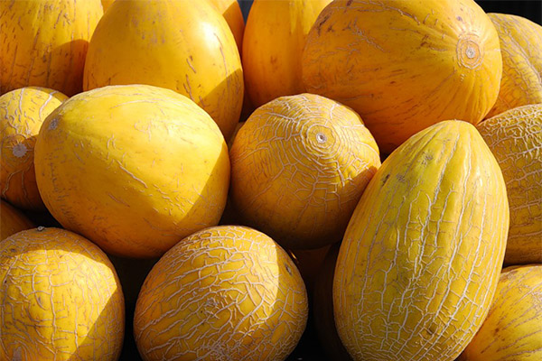 Hvordan velge og lagre melon