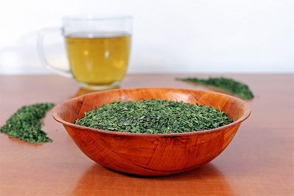 Når du skal samle og hvordan du tørker brennesle for te