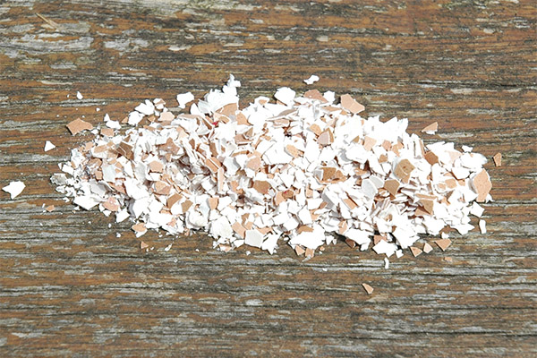 És possible donar closca d'ous als animals