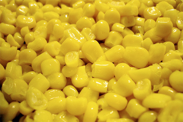 ข้าวโพดกระป๋องสามารถให้สัตว์ได้