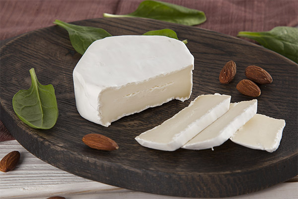 Interessante fakta om blåmuggost