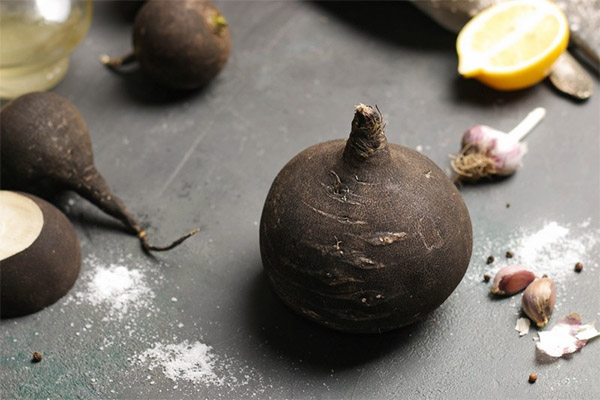 Hvordan fjerne bitterhet fra svart reddik