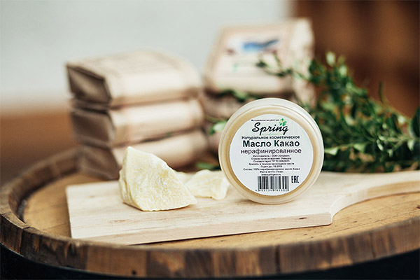 Kakaosmør i kosmetologi