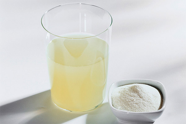 Er det mulig å gi myse til en hund