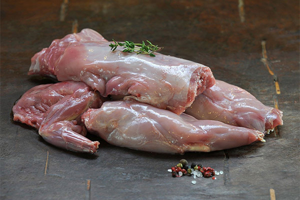 Er det mulig å gi en hundekanin kjøtt