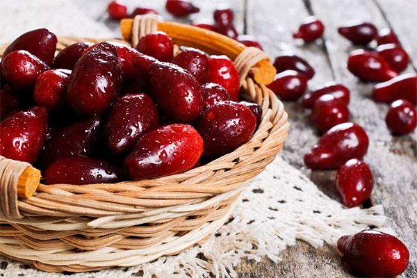 Er det mulig å spise løvtre med bein