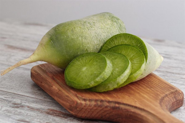 Nyttige egenskaper ved grønn reddik