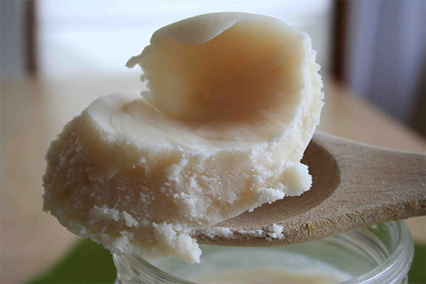 Fordeler og skader av svinefett