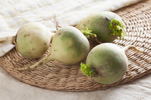 Fordelene og skadene ved grønn reddik