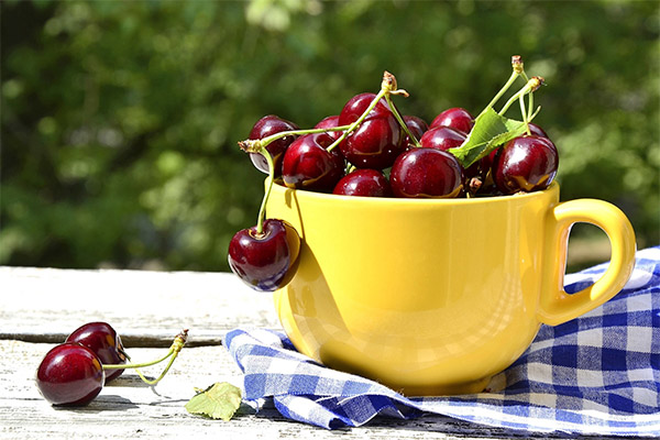 Søt kirsebær i medisin