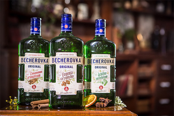 Hvordan velge en becherovka