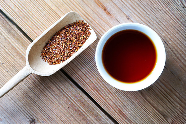 Nyttige egenskaper til rooibos