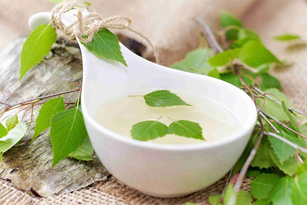 Bruken av bjørkesaft i kosmetologi