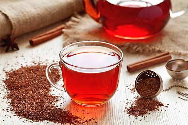 Rooibos i medisin