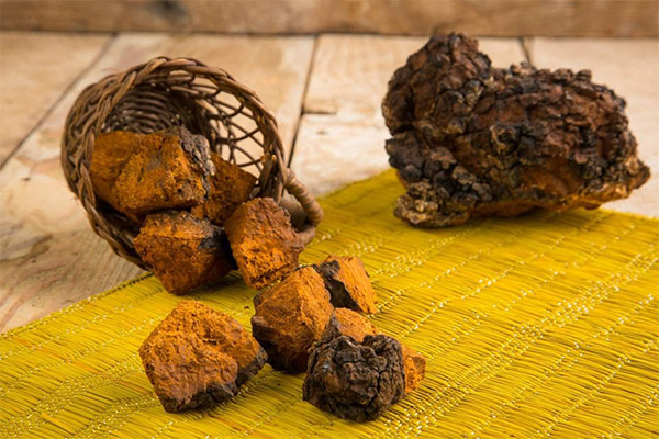 Tipus de compostos medicinals amb chaga