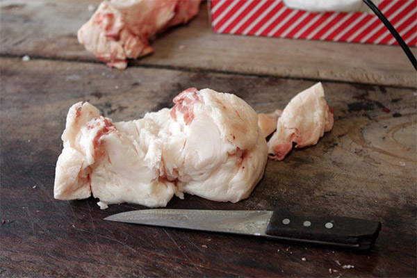 Skader og kontraindikasjoner av fett halefett