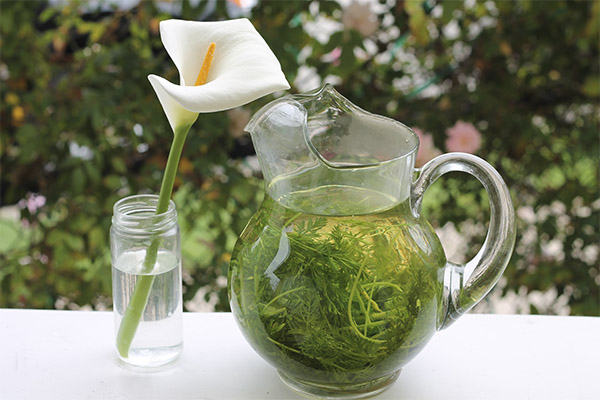 Te fra gulrot-topper