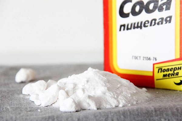 Fets interessants sobre soda